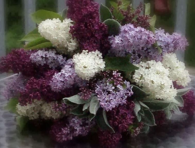 ������� ����� ������: ��� ��������� ������� � �������� �����