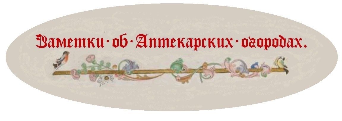 ����������� �����: ������� �� ������ � ����� ���� ��� ��������� ��������