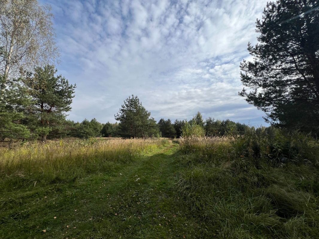 ������� ����������: ��� ���� �������� � �������?