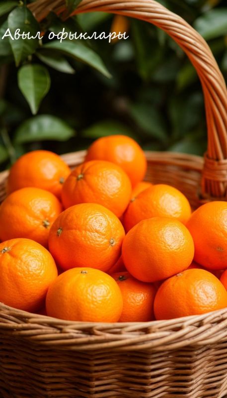 ��� ������� ��������� ���������: ������ ���������