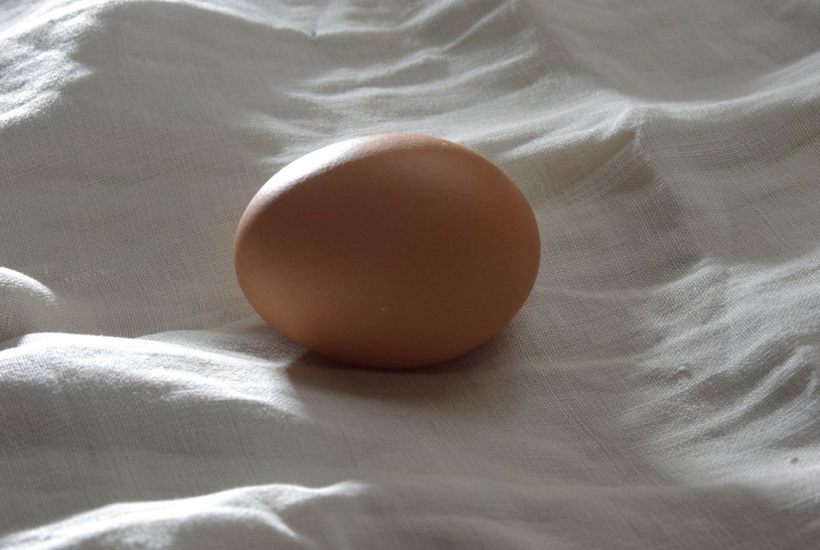 ���� ��������, ������� ������ � ��������: ��������� ������ ���