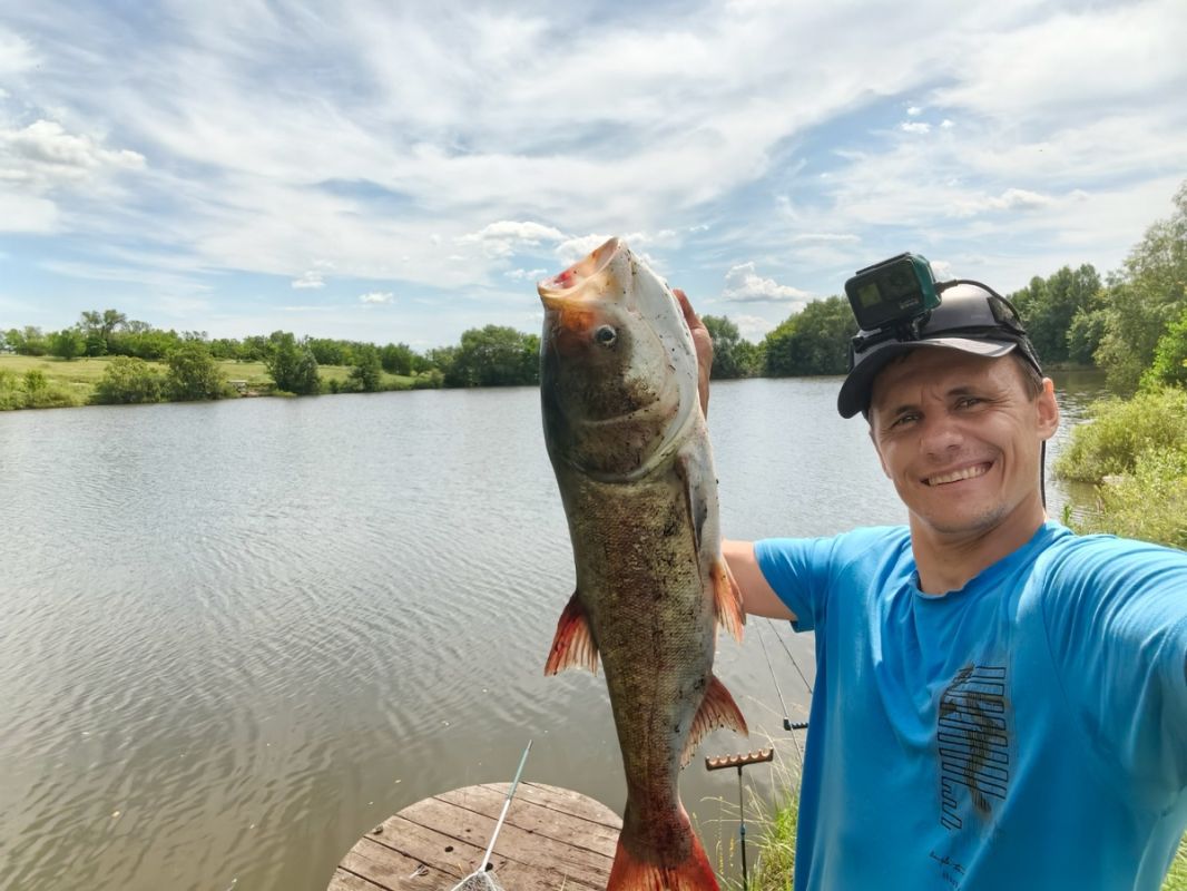 ��� ����������� �� ������������? 3 ������������ �������