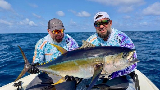 ���������� �������: ������ ����� ������ ����� ����� 20 ��