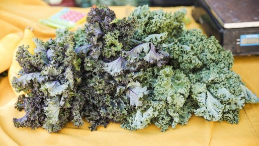 ������� �������� ������� ����: ��� ����� ���������� ����������� ��������