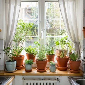 ��� ������������ ������� ������ �� �����: ����������� ��� ������ ������ � ������ ������� ���