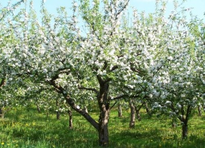 ��� ������� ����� �������� �������� �������� ������ ������ ������