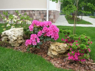 ������������� �������� �����: ����������� ���������� � ���� ��������