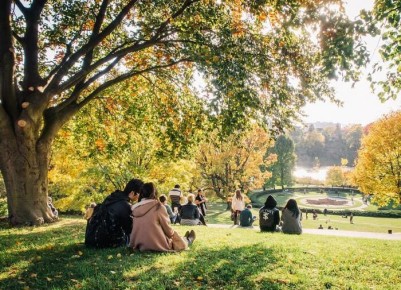 осенние ошибки дачников: как не упустить важные детали