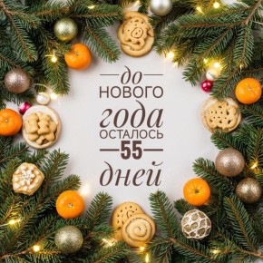 Как подготовиться к году Красной Огненной Лошади за 55 дней