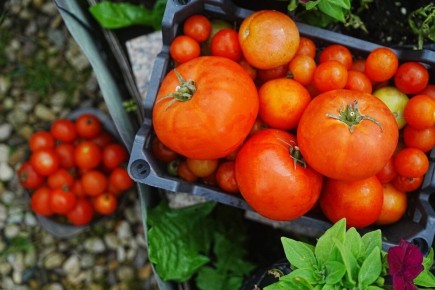 ������� ������: ��� �������� ��� �� ��������� ����������