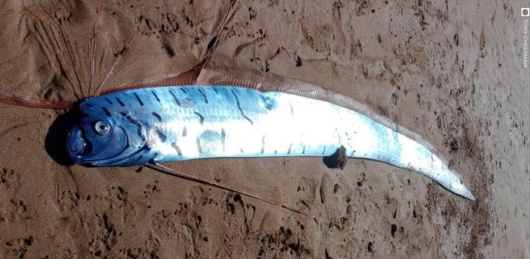 �� ������������� ��������� ����� ����-������� � ominous ����������