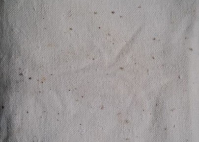 ��� ���������� ���������� �� ������� �� ������