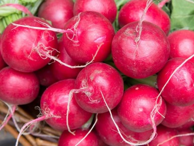 ��� ��������� ��������� �������: ������� �� ���������