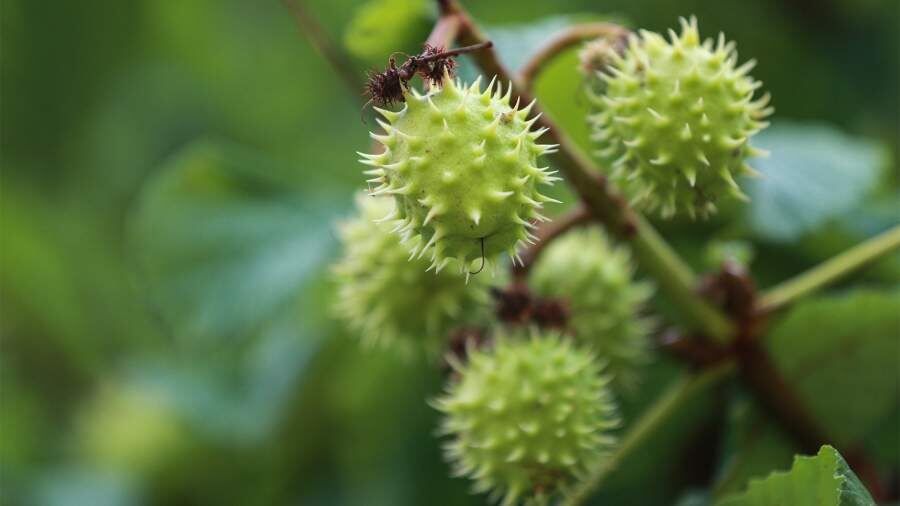 ��������� �������: ��� ����������� ��������� ������� �����