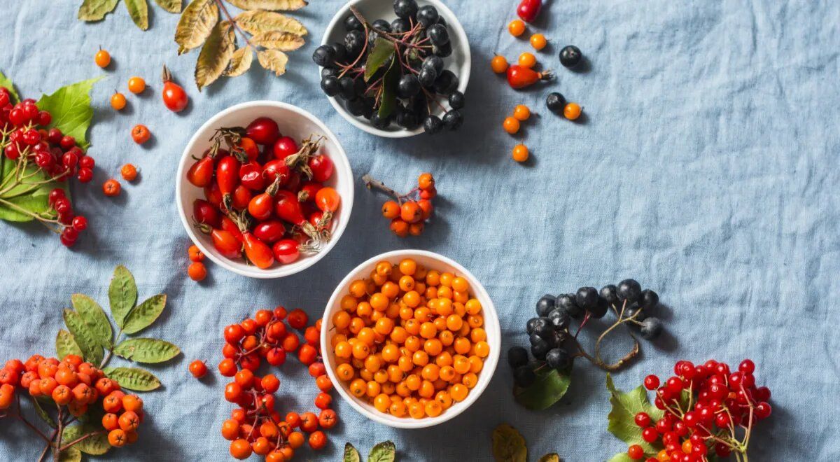 �������� �����: ������� ��� ������� ������ ��� ��������?