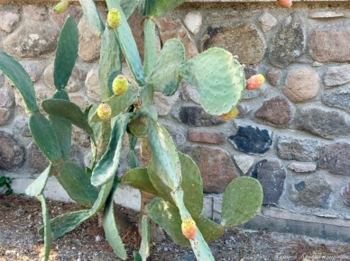 ������� ���������: ������ �� �������� ������