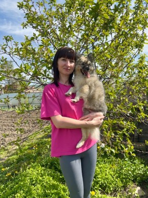 Необычные ленивые вареники с вишней: нежный завтрак для всей семьи