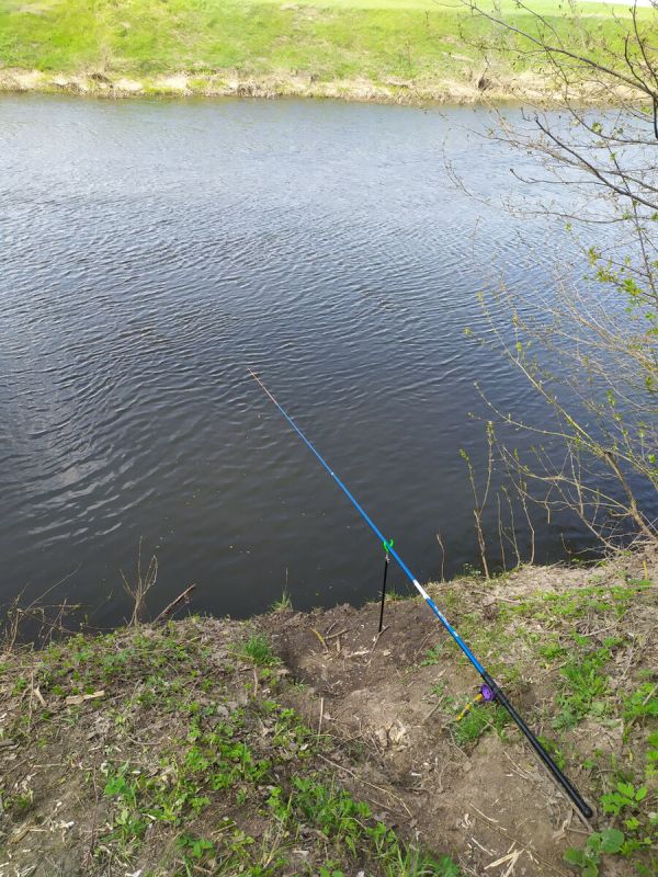 �������: ������� ����� � ����� �� ������ ����