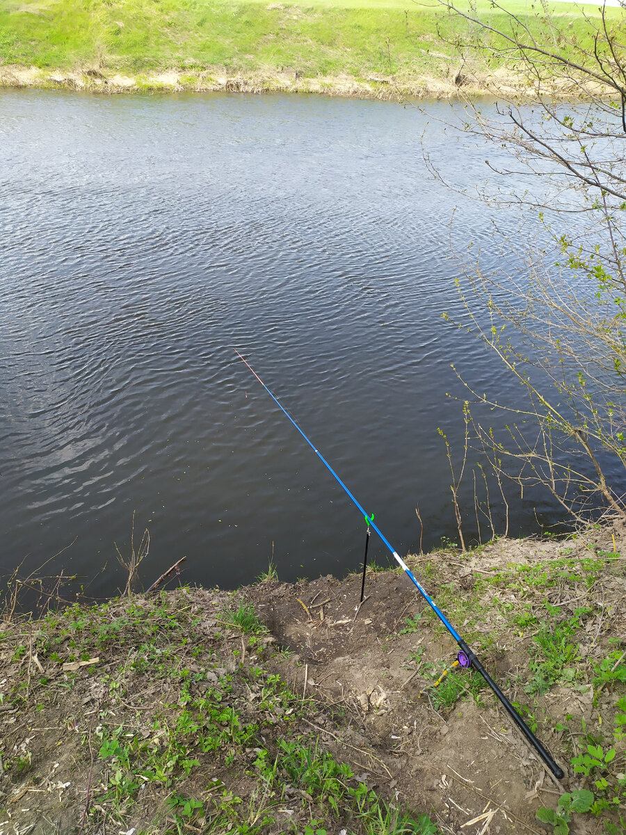 Уклейка: секреты ловли и жарки на берегу реки
