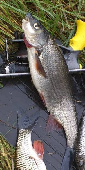 ��������� ������� � ��������: ��� �� ���� �������� �� ������?