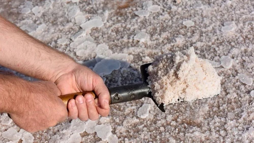 ���� ����� �����: ��� � ������ �������� ������� �������