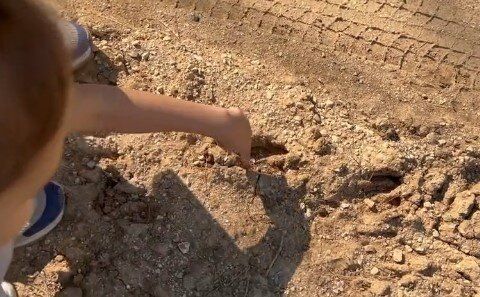 ������������ ������� �� ������ ��������: ����� ����� �������