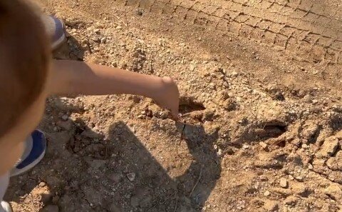 Удивительная находка на горной прогулке: следы диких кабанов