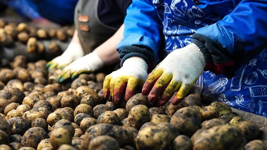 ������ �������� ������ ������ ��������� �� ���� � ������