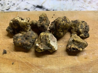 ���������� �������� � ����������� ������: ����� ����������� ������� ������ � ������