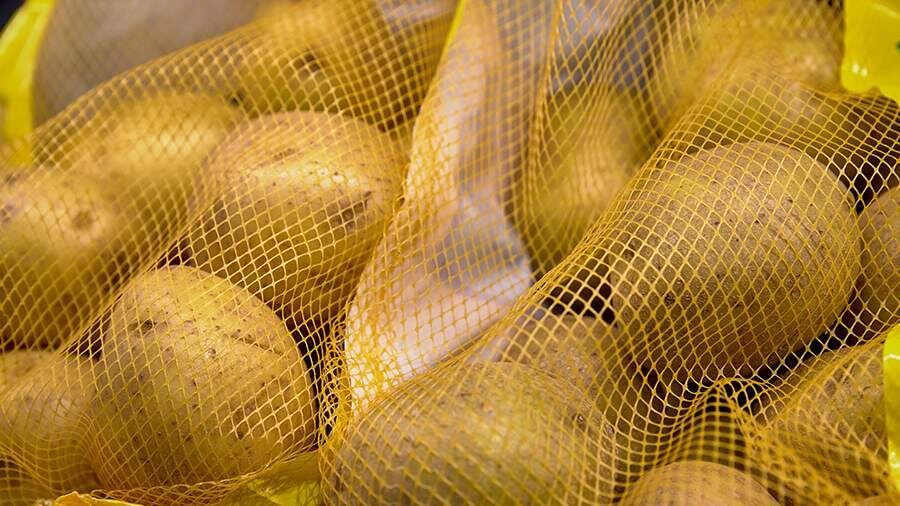 ��� �������� �� ����� ������ �����: ������ ������