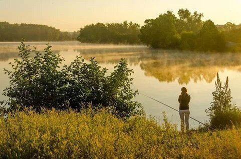 ��� ����������� ������ ����: ������� �������� �����