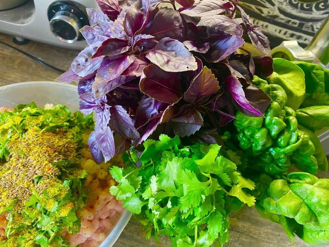 Заготовка базилика на зиму: два нехитрых способа