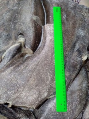 ��������� ������: ���������, ������� ����� �����������