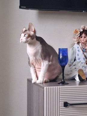 ����� ������� ����� ������ ����� � �����