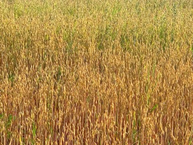 �������� � �����: ��� ��� ���� ������ ������ ����