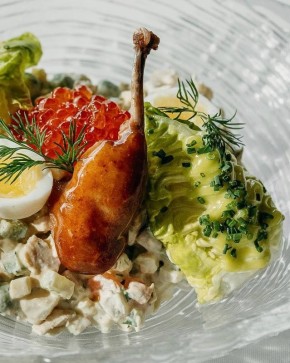 ����������� ���� �� ����� ���: �������� �� ���������� Novikov Group