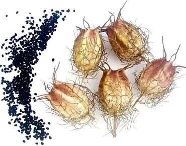 �������: ������� ������� �����, ������������� ��������