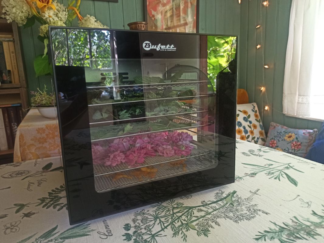 Как создать идеальный зимний чай с помощью дегидратора Bufett