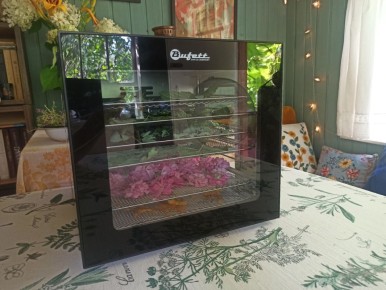 ��� ������� ��������� ������ ��� � ������� ����������� Bufett