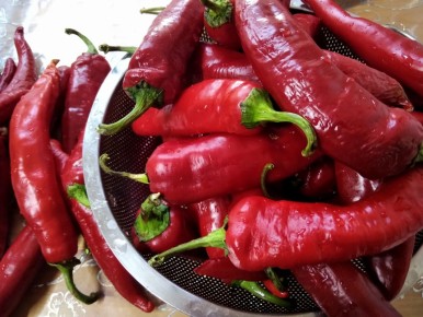 ������� ��������� ������� ����� �� ����