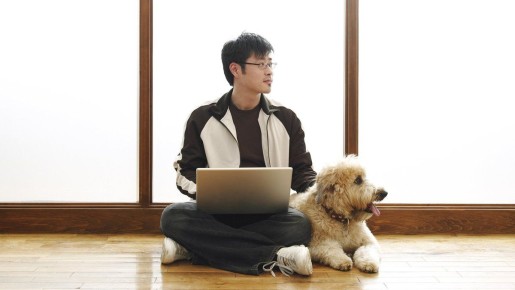 ��� �������� ���������� � ���� � ��������: ������ ������