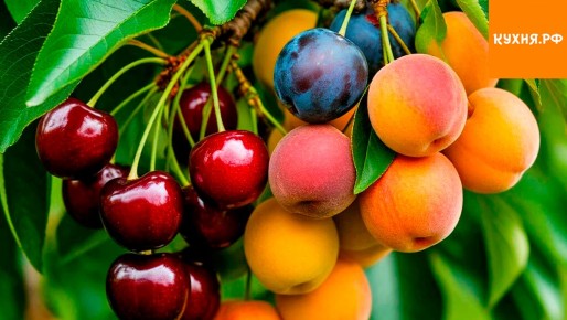 ������, ������� �������� ����� ������