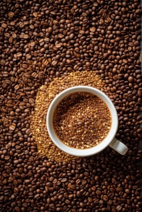 ������� ������������ ����: �� ������ �� ���������� �����������