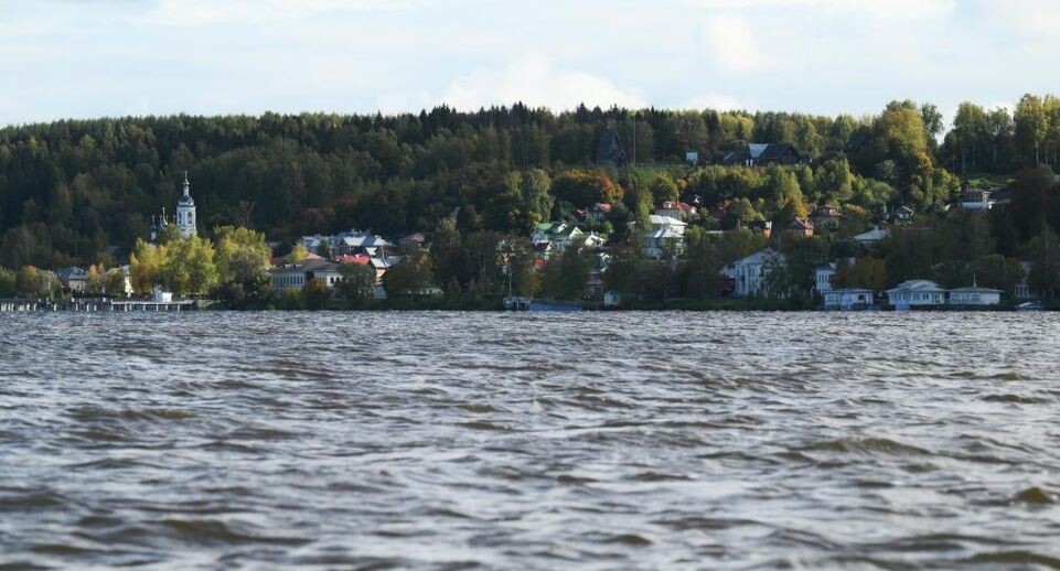 Новые обитатели Волги: ученые обнаружили 10 неведомых рыб