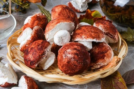 ���������� ��������� ������ ���������