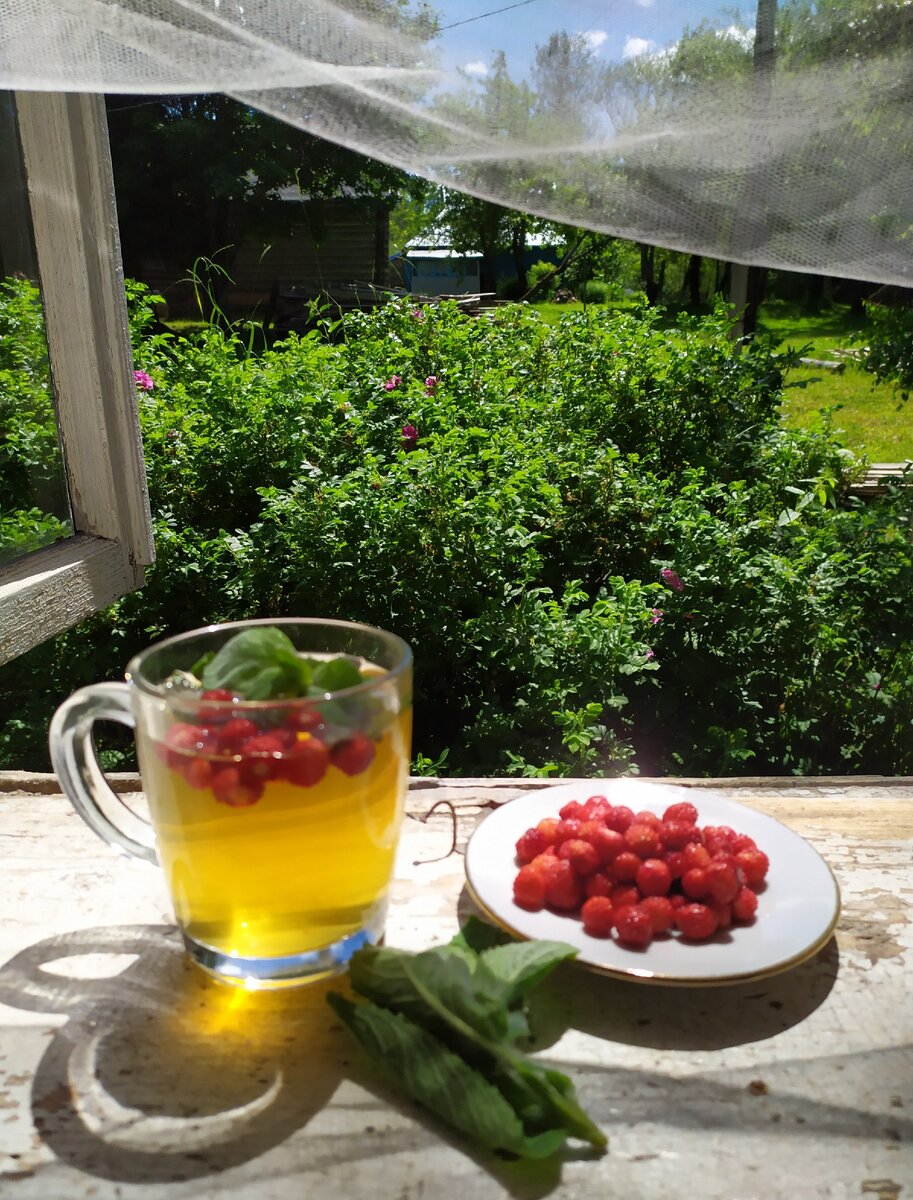 Освежающие напитки для летних дач