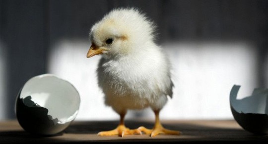 ���� � �����: ��� ����� ����� � �������������