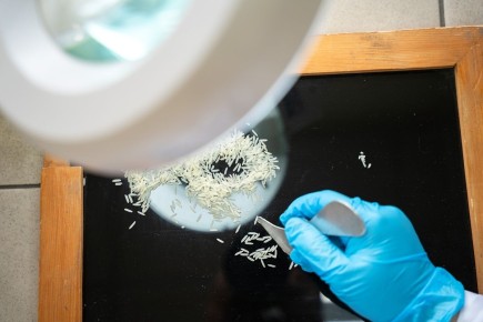 ������ �������� ������� ���������� ��������� ��� ���� ��� ���������� �����������