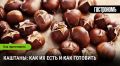 Каштаны: вкусное пробуждение традиций