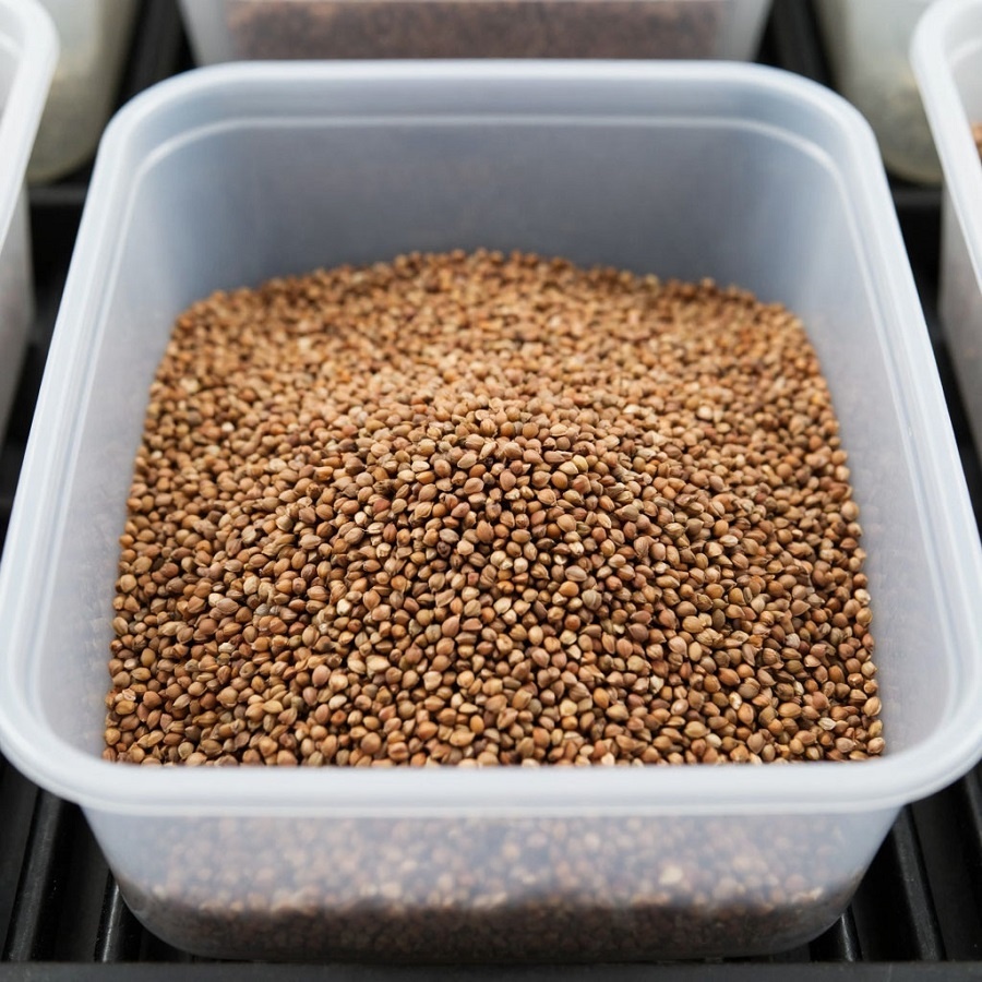 Как заморозка поможет сохранить крупы свежими и полезными